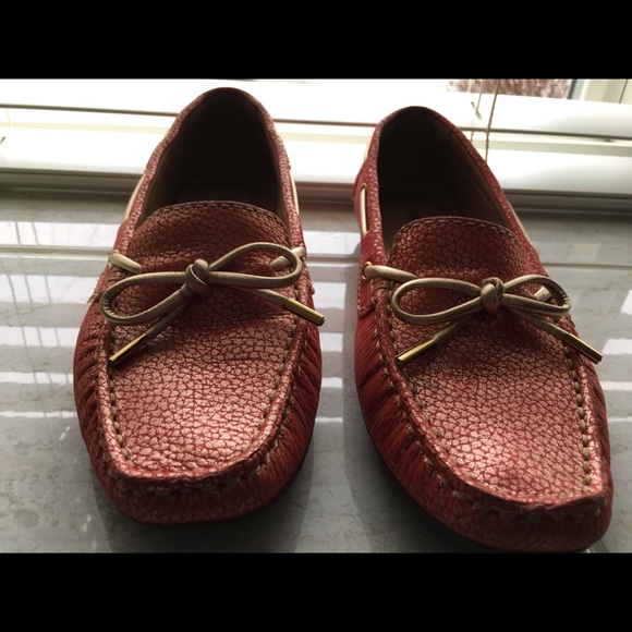 Shows - Picture 2 of 8